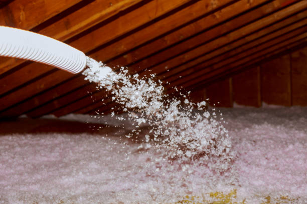 Best Insulation Replacement Services  in Painesville, OH